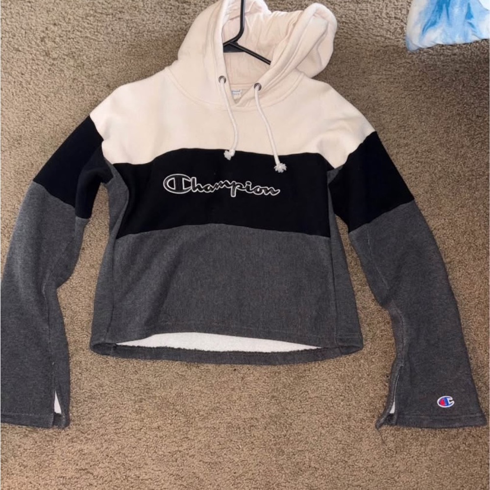 Champion Colorblock Hoodie